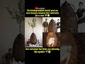 The biodegradable burial pod can turn human remains into nutrients #motivation #news #lostt2007