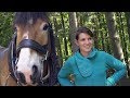 Holzrücken mit Pferden - Zukunft für den Wald