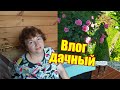 Blog:сочные котлеты из куриной грудки, Любимый Василёк/болталка....