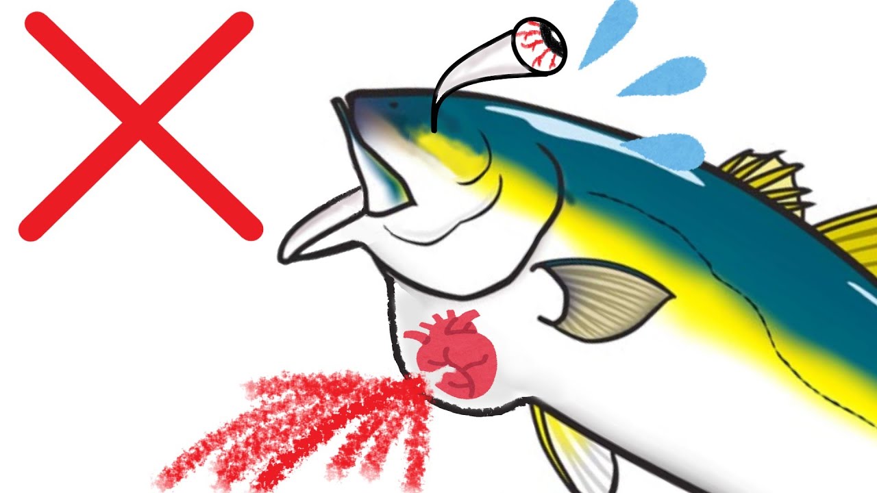 魚の血管が爆発する圧力は?