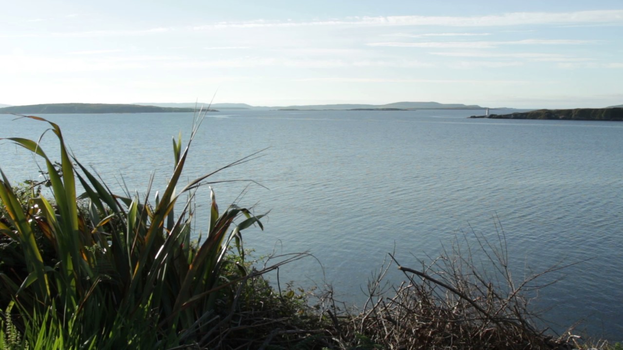 Roaring Water Bay, Schull West Cork - 9 July 2017