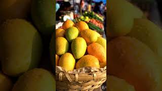 Mango Lovers #ytshorts #mango  #fruit #shortsvideo #tree #save #tags #cookwithrachna #farming
