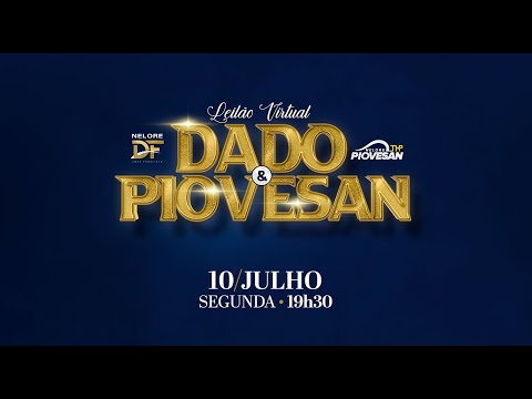 Lote 46 (Carol NDF - NDF 206)