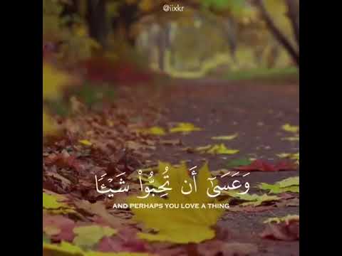 تساقط اوراق الشجر