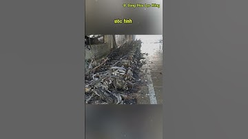 Toàn Cảnh Vụ Cháy Thiệt Hại 100 Tỷ Đồng | Dòng Máu Lạc Hồng