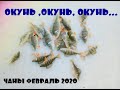 Окунь, Окунь, Окунь...