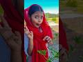 गंजेपन का इलाज😁😁🤣🤣#comedy #youtube #funnyshorts #trendingvideo