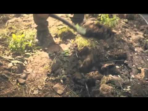 HORNBACH  - THE INFINITE HOUSE