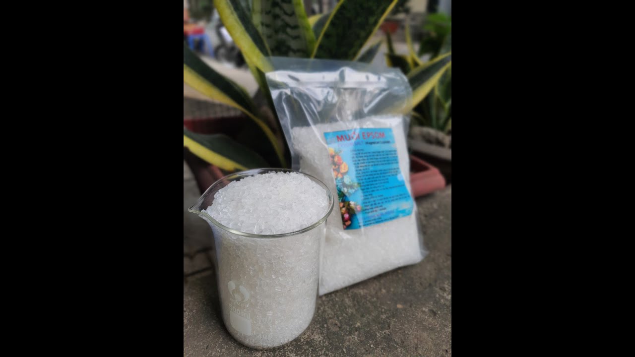 Muối epsom salt dùng trong nông nghiệp – Giúp xanh lá – tăng sức chống chịu sâu bệnh