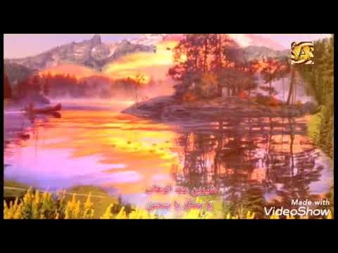 شيرين عبد الوهاب يا بتفكر يا بتحس