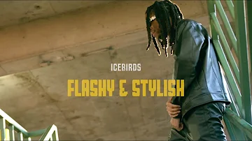 IceBirds - "Flashy & Stylish" (Official Music Video) Shot by @atoneyfilmz