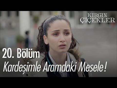 Kardeşimle aramdaki mesele! - Kırgın Çiçekler 20. Bölüm