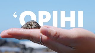 Restoring ʻOpihi | PBS HAWAIʻI