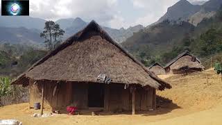 MUS YOS HAV ZOOV RAUG DAB PHIM NYUJ VAIS HEM /AUG/5/2025 MUS YOS HAV ZOOV RAUG DAB PHIM NYUJ VAIS HEM /AUG/5/2025
