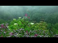 10 hours of calming rain sounds for sleep and relaxation with tibetan singing bowls  birds sounds