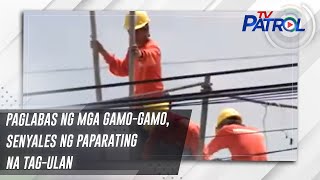 Paglabas Ng Mga Gamo-Gamo, Senyales Ng Paparating Na Tag-Ulan | Tv Patrol