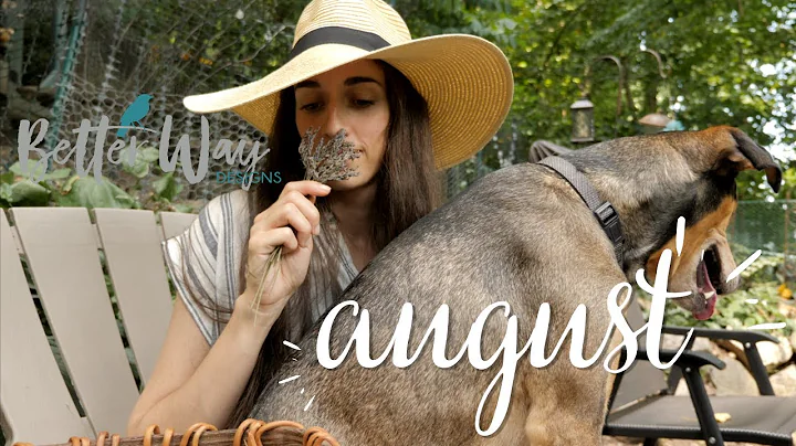 August Updates | Mystery Box Winner