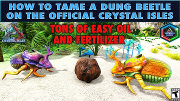 How to Tame a Dung Beetle in the Crystal Isles