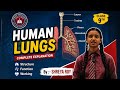 Human Lungs Presentation By:- Shreya Roy | Class 9th #school #human #lungs #class9th #students 