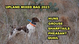 Upland Bird Hunting Mixed Bag 23 by Upland Wild 4,419 views 5 months ago 24 minutes