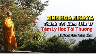 Tinh Hoa NIKAYA - Thánh Trí Năm Uẩn 17 - Tâm Lý Học Tối Thượng