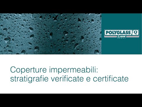 Video: Chi ha sviluppato il concetto di stratigrafia?