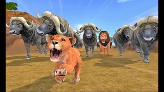 Wild Lion The King Of The Jungle - Furious Wild Lion Simulator Animal Family Baby Lion Play screenshot 4