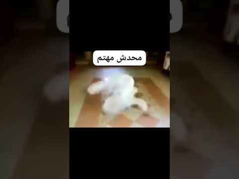 محدش مهتم ميم 