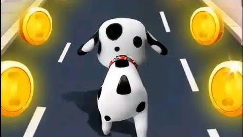 New Dog Fun Race Game: Pet Dog on a Outdoor RUN