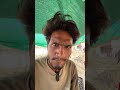 आपको कौन सा आम पसंद है😂 #comedy #funny