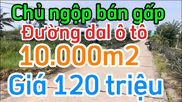 Chủ ngộp bán gấp miếng Đất vườn mặt tiền đường dal ô tô giá 120 triệu/1000m2 Long Mỹ Hậu Giang