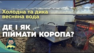 Дика та холодна весняна вода, де піймати трофейного коропа