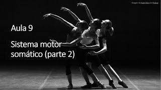 Videoaula 9 Sistema Motor Somático (Parte 2)