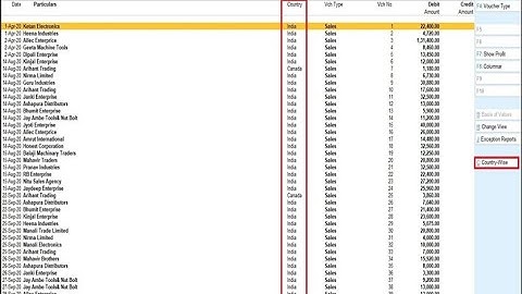Tally Add On : Country wise Sales & Outstanding Analysis in TallyPrime Software.