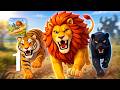 Safari Universe - Gameplay Walkthrough Part 1 (Android, IOS)