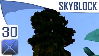 FTB Infinity Skyblock! (Ryotcraft)(Modded Minecraft) || RING ONE! BEGIN! || Ep 30