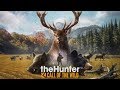 The Hunter: Call of the Wild | Охота в Саванне на львов | MULTIPLAYER #18