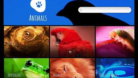 Endless OS 3.4 Installation in VirtualBox 5.2