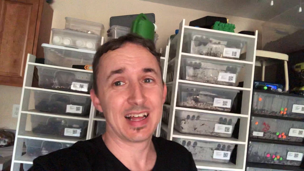 videocon care centre Short Vlogg Reminder