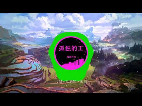 2021華語網絡流行音樂 ||《孤獨的王》|| 海來阿木 || 動態歌詞