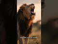 El rey león #animal #leon #vidasalvaje