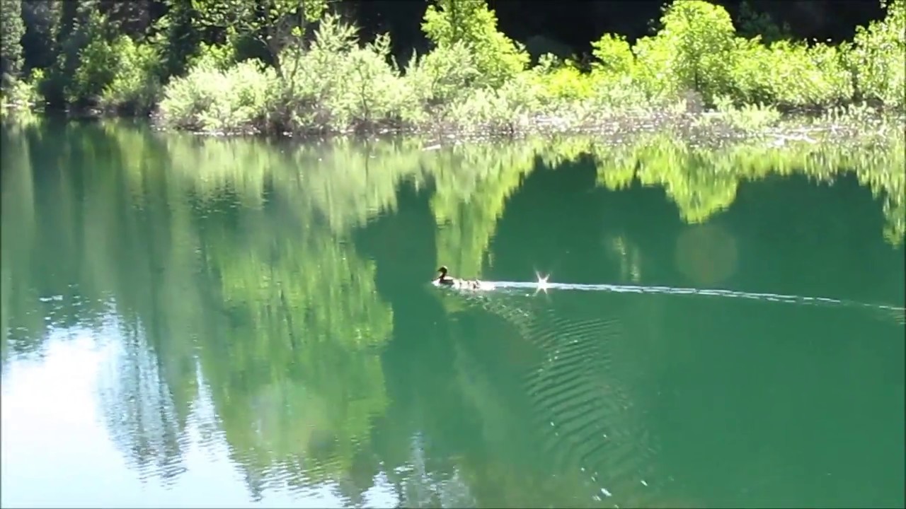 Jenkinson Lake Loop Trail YouTube