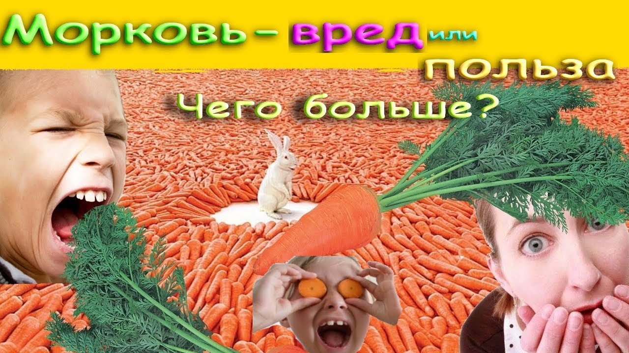 Морковь - вред или польза. Чего больше ?