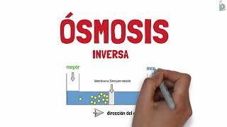 Diferencias entre Difusión💨, Ósmosis directa➡️y Ósmosis Inversa⬅️