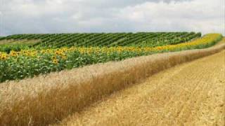 Kucerak U Sremu Vojvodjanka