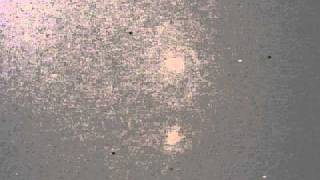 M51 Poor AVI