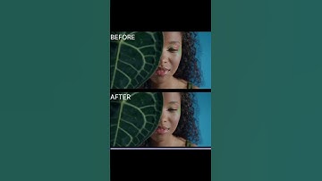 Edit -Face Beauty in A2Beauty Autodesk | Flame