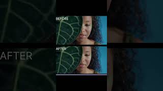 Edit -Face Beauty in A2Beauty Autodesk | Flame