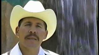 El Gallero De Sinaloa. Estrella Ibarra Promotions..