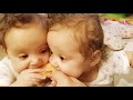 Funny Naughty Baby Twins Fight Over - Fun and Cute